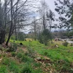 Terreno En Altura, Villarrica, Ideal Constructora