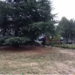 Vendo Terreno De 1.800m2 Con Casa Proximo Avda Alemania.